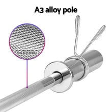 Ellis Training Bar with Spring Collar